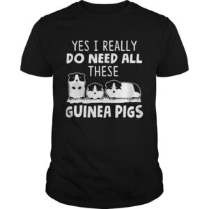 All I Need Is This Guinea Pigs Shirt